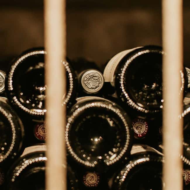 Châteauneuf-du-Pape: tour/tasting in the heart of Domaine Tour St Michel - From grape reception to the vinification cellar