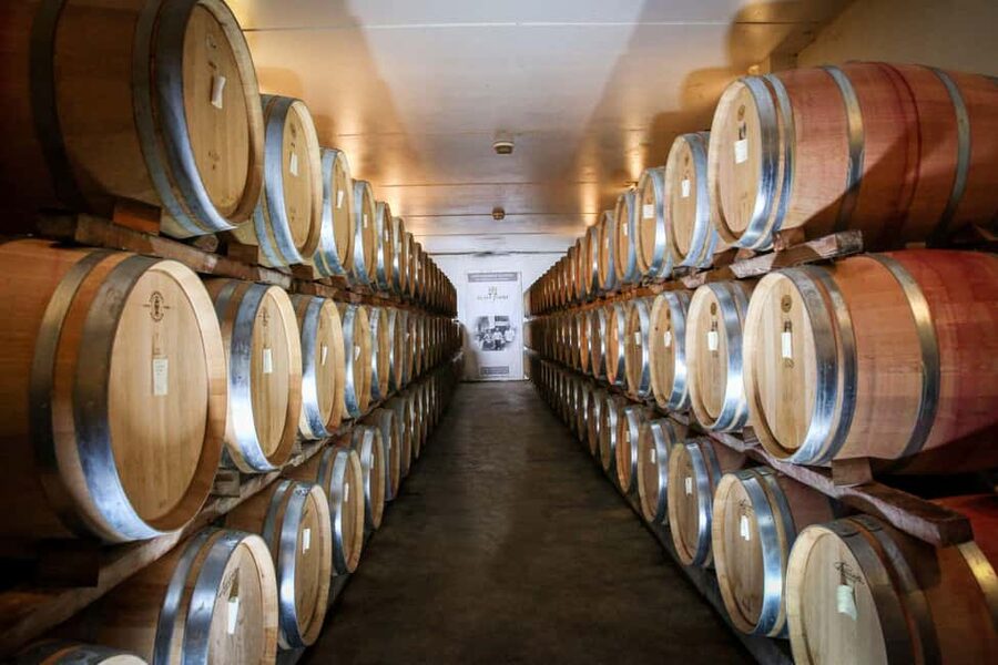 Châteauneuf du Pape: Visit the Alain Jaume vineyards and enjoy a gourmet meal - Is $135 a fair price?