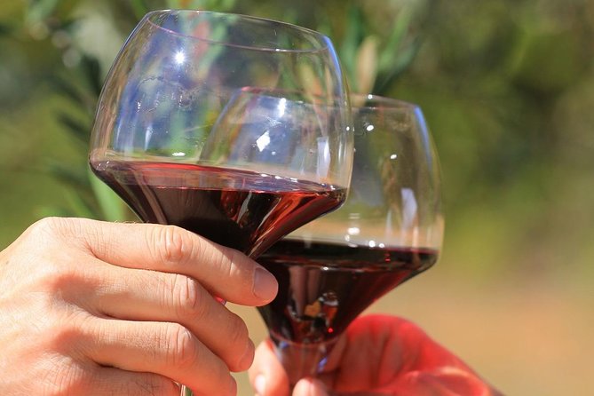 Châteauneuf du Pape Wine Day Tasting Tour including Lunch from Avignon - Châteauneuf-du-Pape, the day’s main attraction