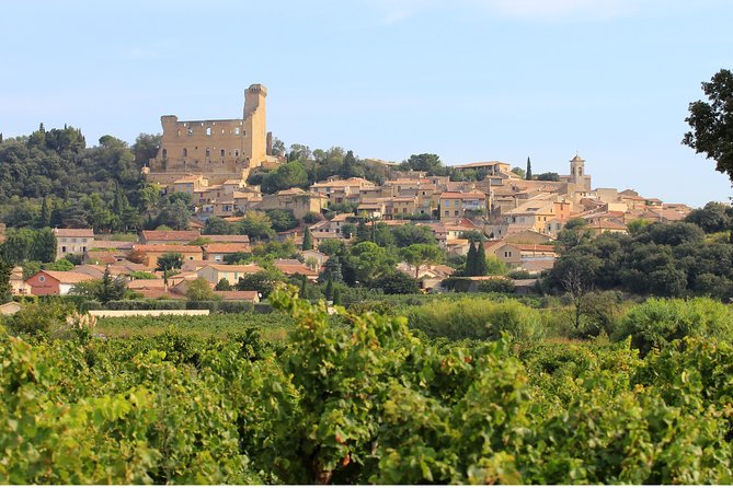 Châteauneuf du Pape Wine Day Tasting Tour including Lunch from Avignon - The value of a $193.57 full-day outing