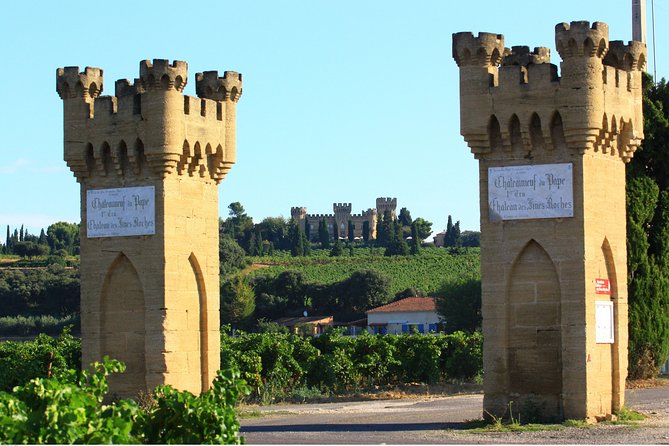 Châteauneuf du Pape Wine Day Tasting Tour including Lunch from Avignon - Timing, pickup, and physical demands