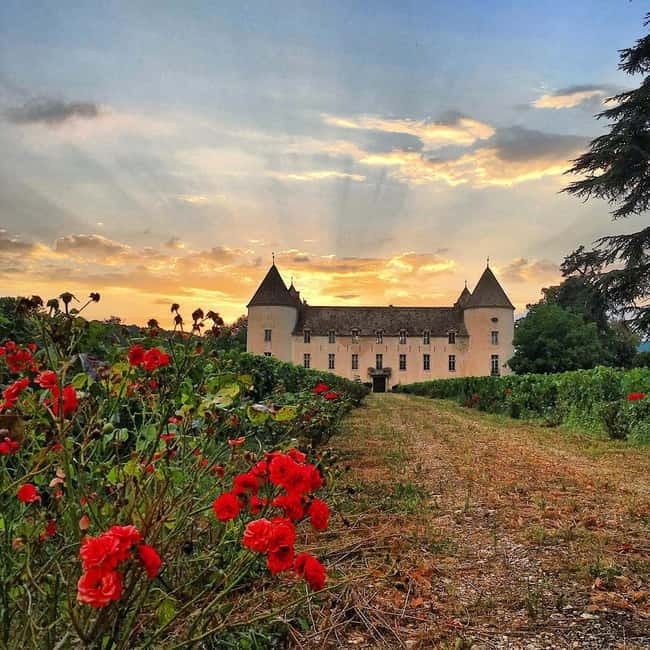 Check out the Château de Savigny museums: planes, cars, motorcycles... - Fire trucks, tractors, satellites, and 8,000 models