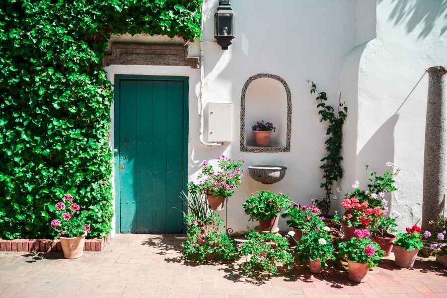Cordoba: Patios and Viana Palace Tour - Key points to know before booking
