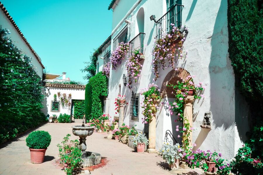 Cordoba: Patios and Viana Palace Tour - Why the Viana Palace patios matter