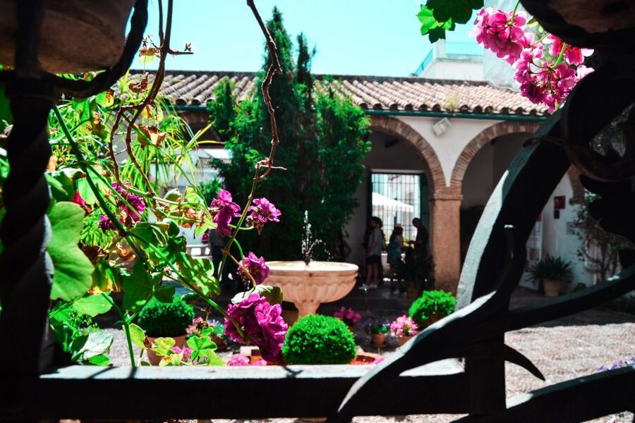 Cordoba: Patios and Viana Palace Tour - Walking through all 12 courtyards