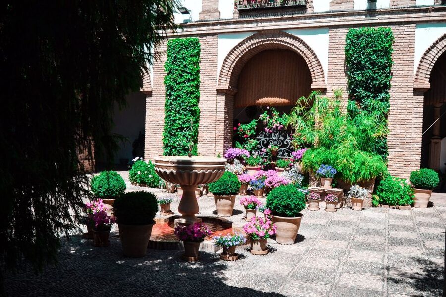 Cordoba: Patios and Viana Palace Tour - Who should book this Córdoba palace tour?