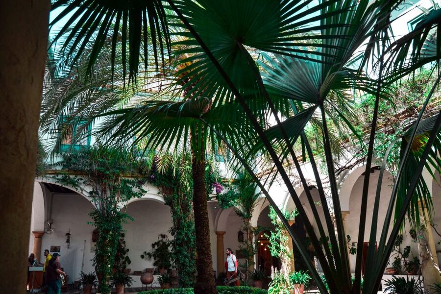 Cordoba: Patios and Viana Palace Tour - Should you book the Viana Palace patios tour?