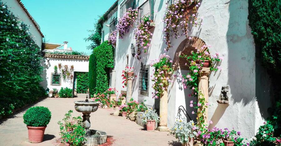 Cordoba: Patios and Viana Palace Tour - Starting at Plaza de Don Gome