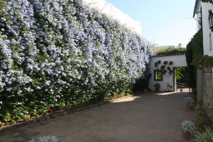 Córdoba: Viana Palace Gardens and Patios Entry Ticket - Why Viana Palace is different from a standard garden visit