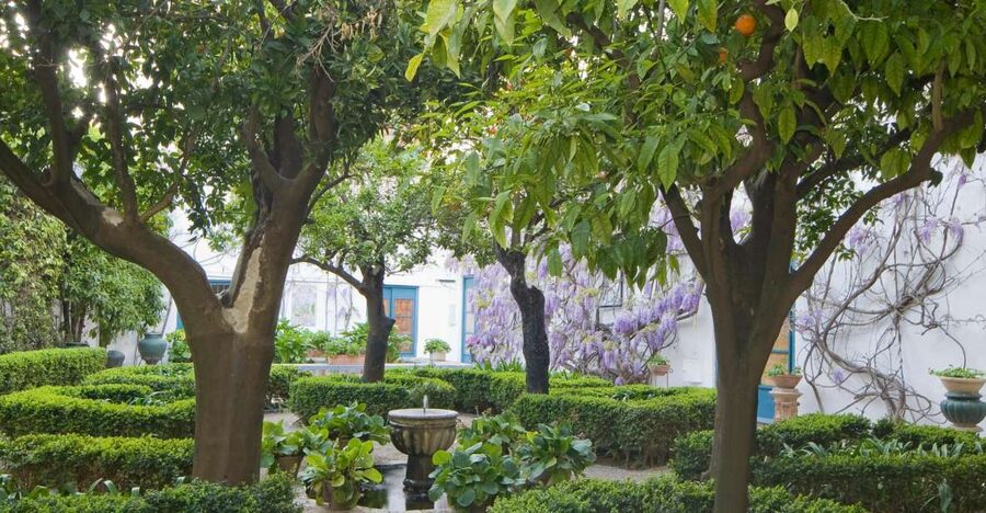 Córdoba: Viana Palace Gardens and Patios Entry Ticket - Twelve patios, twelve different moods
