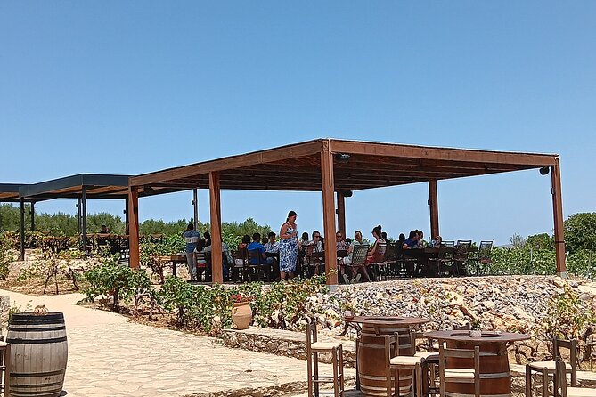 Crete Discovery Palace of Knossos, Wine and Olive Oil Experience - Lunch in Archanes, with the bill still separate