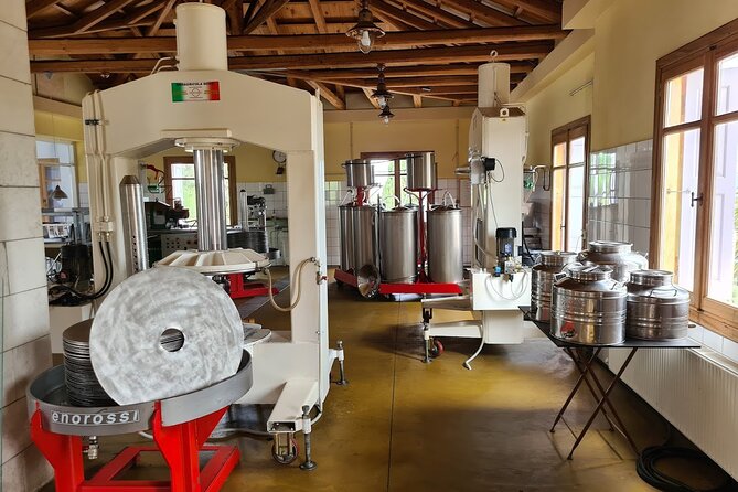Crete Discovery Palace of Knossos, Wine and Olive Oil Experience - Timing, costs, and practical planning