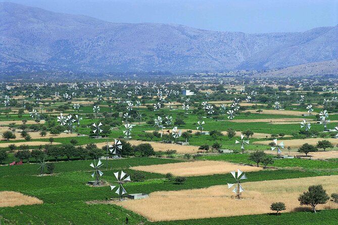 Crete in a Day: Knossos, Soap Workshops, Olive Oil & Wine Tasting - A full lunch keeps the schedule comfortable