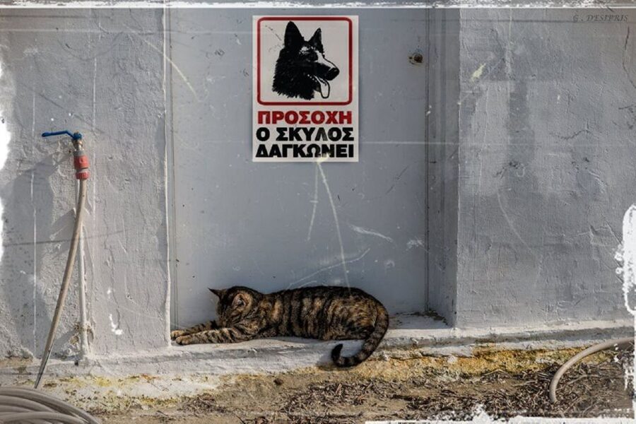 Crete: Knossos Palace and Museum Skip the line Guided tour - Two and a half hours to make Heraklion your own