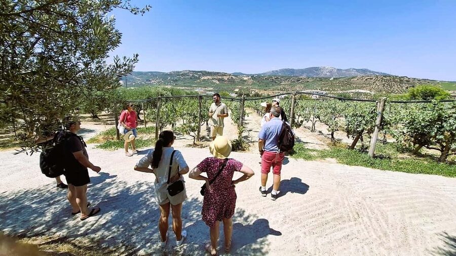 Crete: Knossos Palace, Winery & Olive Oil Tour with Lunch - A village lunch with wine and raki