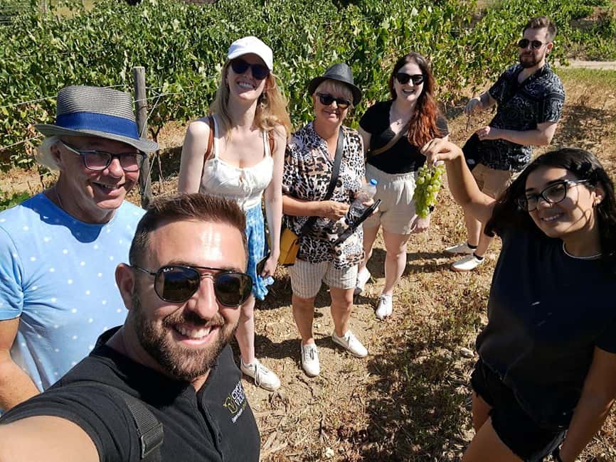 Crete: Knossos Palace, Winery & Olive Oil Tour with Lunch - The final call