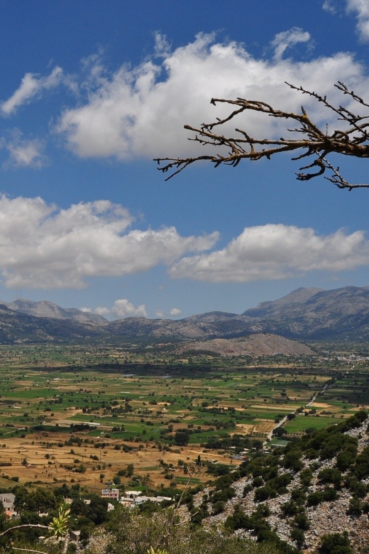 Crete: Lasithi Plateau and Knossos Palace Day Tour - What €64 really gets you