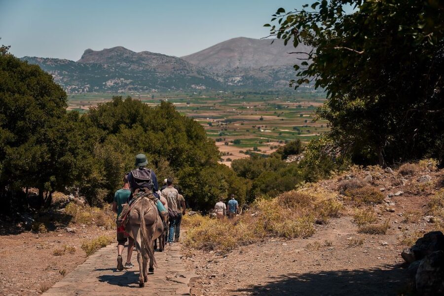 Crete: Lasithi Plateau & Knossos Palace Tour - Transport, languages, and the real cost