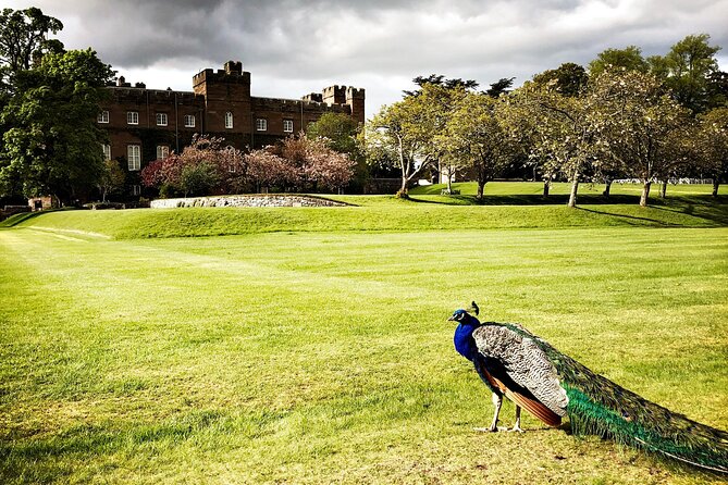 Crowning Jewels: Scone Palace, Glamis Castle, & St Andrews - Timing, weather, and how to get the most from the day