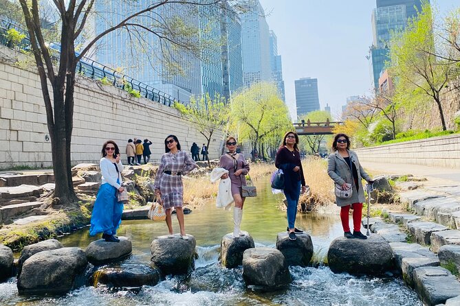 Customizable Seoul Private Tour Palaces Food and Markets - Who will get the most from this tour