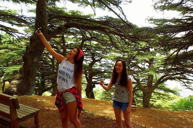 Deir Al-Qamar, Beiteddine Palace and Barouk Cedars Tour - Shouf Cedars Reserve and the change of pace