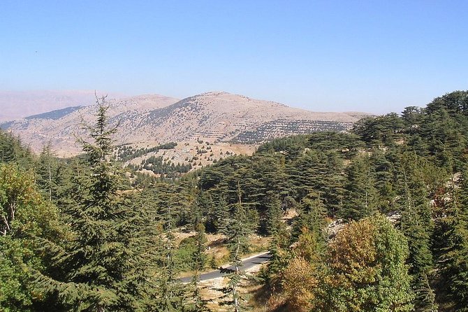 DeirElkamar, Beitdeen, Moussa Palace, EinwZien Grotto,Full-Day Trip PRIVATE-CAR - From Beirut to the old streets of Deir al-Qamar
