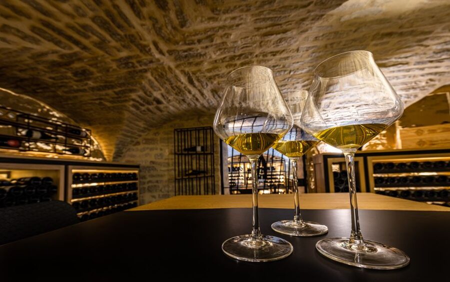 Dijon: La Cave du Palais Burgundy Wine Tasting Experience - Why this Dijon tasting works so well