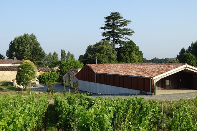 Discovery visit of Château Rol Valentin with tasting - A short visit with a clear purpose