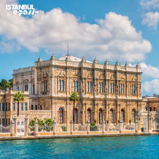 Dolmabahce Palace & Harem Skip-the-Line Entry & Audio Guide - Why Dolmabahce Palace feels different from Topkapi