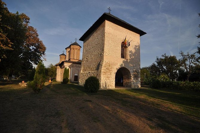 Dracula's Tomb and Mogosoaia Palace, Private Tour from Bucharest - Should you book this Bucharest day trip?