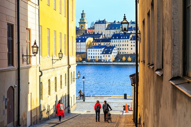 Drottningholm Palace Private Guided Tour - What a private guide adds
