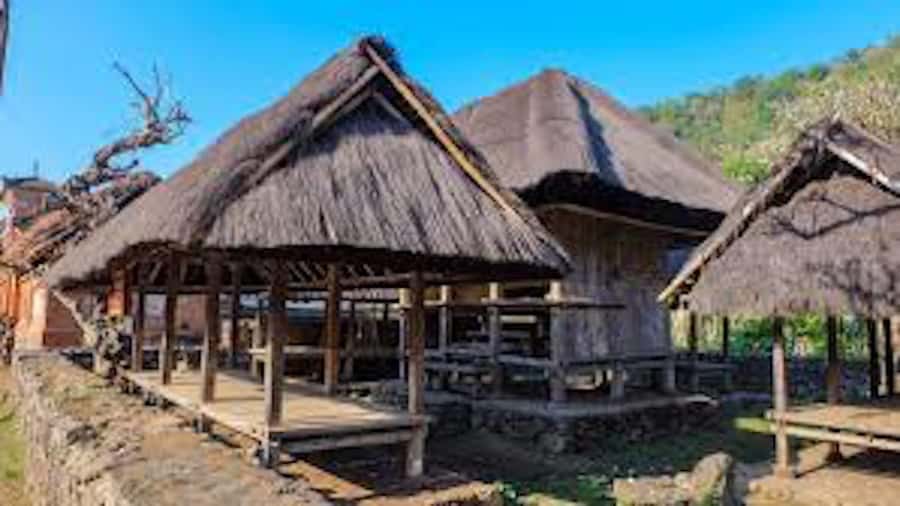 East Bali: Lempuyang Gates, Tenganan, & Water Palaces Tour - Tenganan and Bali’s Aga traditions