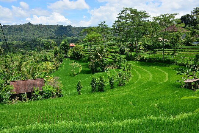 East Bali Tour: Gate of Heaven, Water Palace, Sleeping Gajah - Who should book this East Bali day trip?