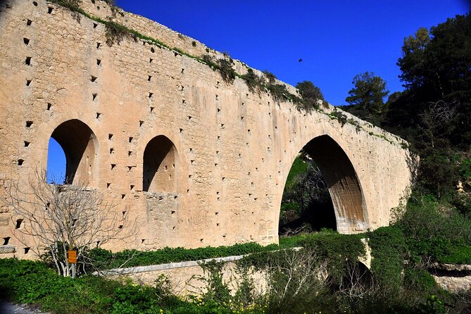 Ecobike-Knossos Palace-Wine tasting-Olive oil tasting - Choudetsi, vineyards, and the olive oil stop