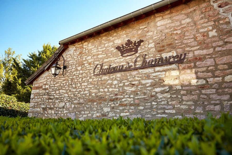 Electric scooter getaway and tasting at Château de Chamirey - The tasting of five Burgundy wines