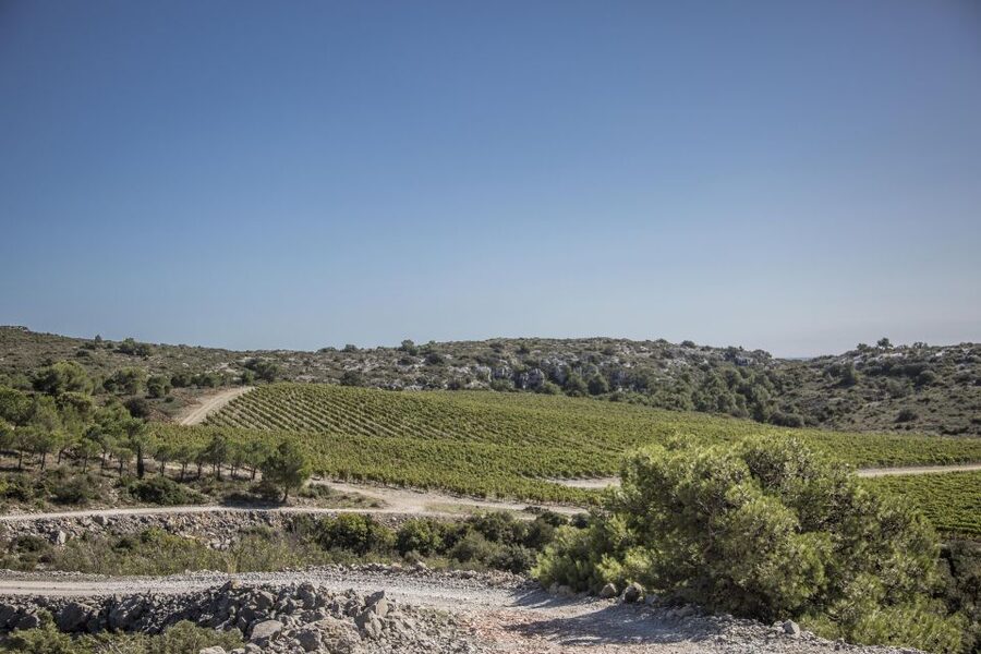 Electric Scooter Tour of Château l'Hospitalet estate - Returning to the cellar for five wines