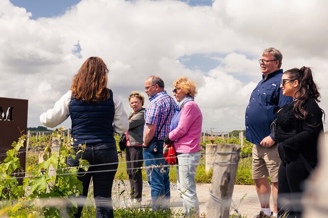 Essential Wine Tour with Tasting & Chateau Visits from Bordeaux - The tasting: two or three Bordeaux wines