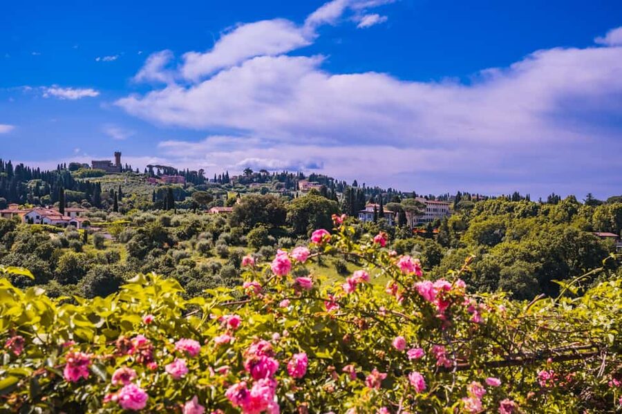 Florence: Pitti Palace and Boboli Gardens Guided Tour - Why Pitti Palace deserves a place on your Florence list