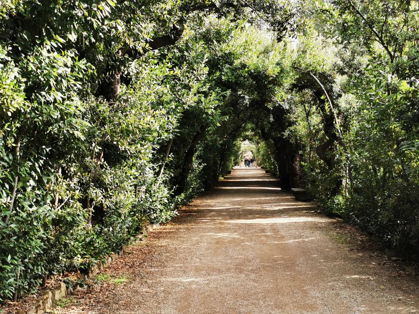 Florence: Pitti Palace, Boboli Garden, Palatine Gallery Tour - Key points worth knowing