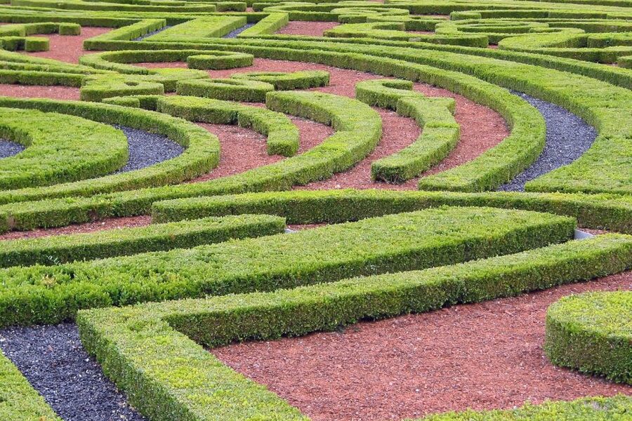 Fontainebleau & Vaux-le-Vicomte Châteaux Day Tour from Paris - Is $123 a fair price?