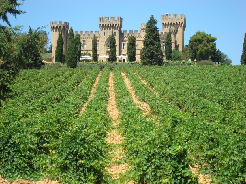 From Aix-en-Provence: Châteauneuf du Pape Wineries Day Trip - Two hours in the village for lunch and old cellars