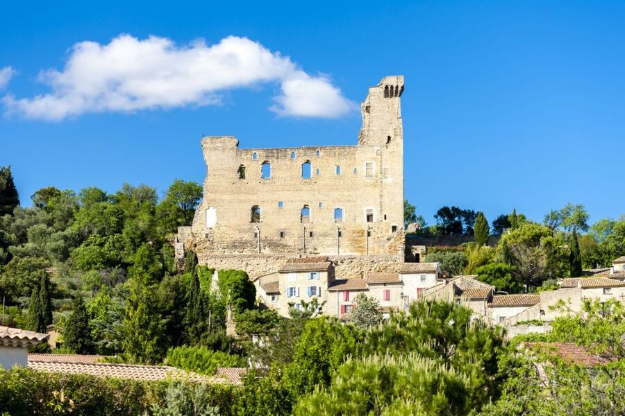 From Aix-en-Provence: Châteauneuf du Pape Wineries Day Trip - The second 75-minute estate tasting