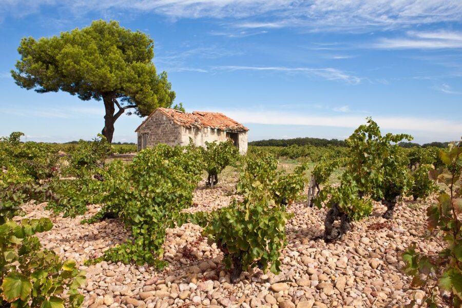 From Aix-en-Provence: Châteauneuf du Pape Wineries Day Trip - Who will enjoy this Châteauneuf-du-Pape tour