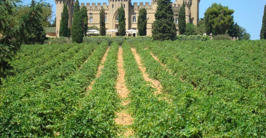 From Aix-en-Provence: Châteauneuf du Pape Wineries Day Trip - Is this tour worth booking?