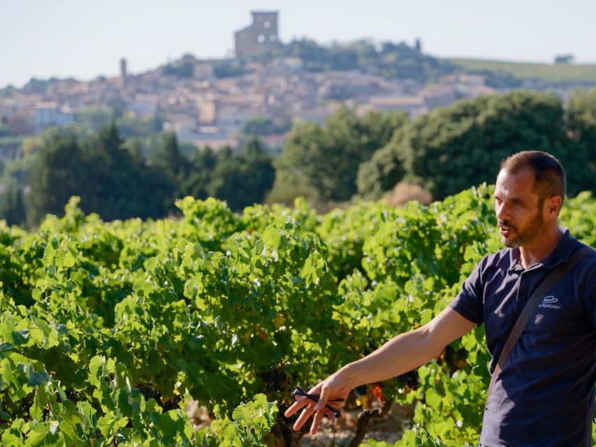 From Avignon: Châteauneuf du Pape Half-Day Wine Tour - The second cellar: a useful contrast