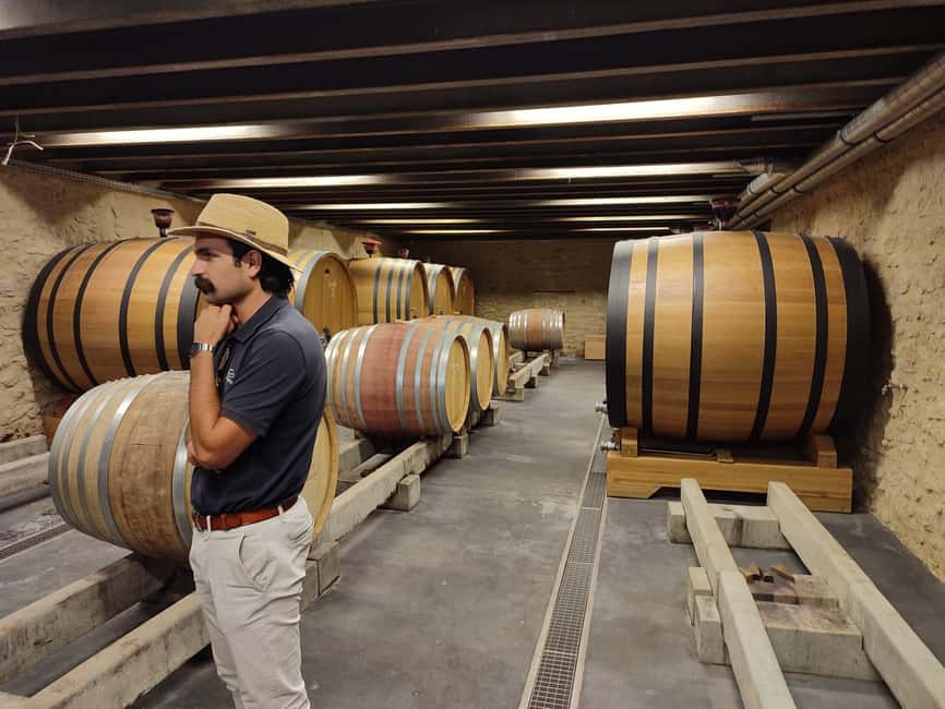 From Avignon: Châteauneuf du Pape Half-Day Wine Tour - Is $112 a fair price?