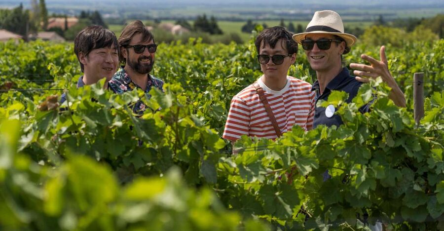 From Avignon: Luberon and Chateauneuf-du-Pape Full-Day Tour - Key points at a glance