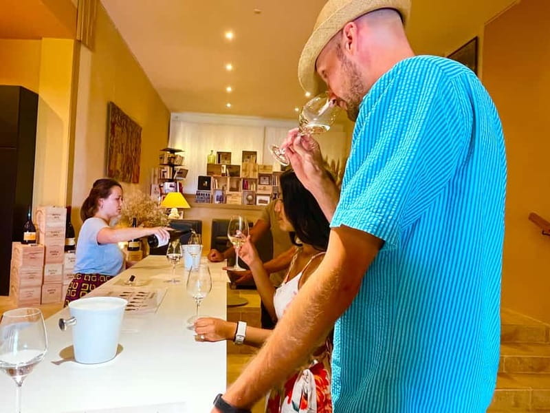 From Avignon: Wine Tour with Visit to Châteauneuf du Pape - Who should book this experience?