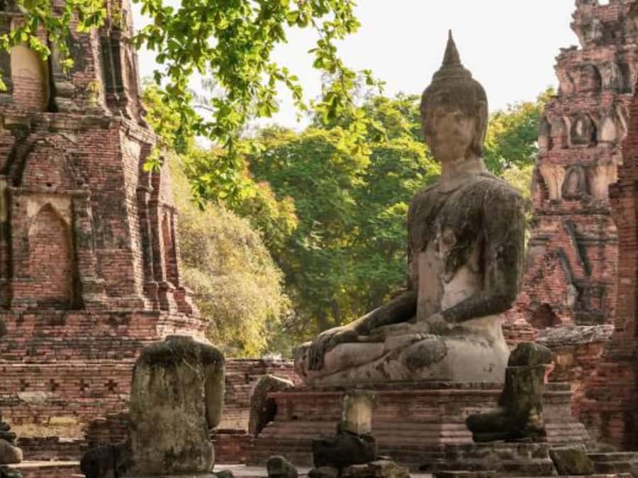 From Bangkok: Ayutthaya Tour, Elephant Palace & Royal Kraal - Key points to know before booking