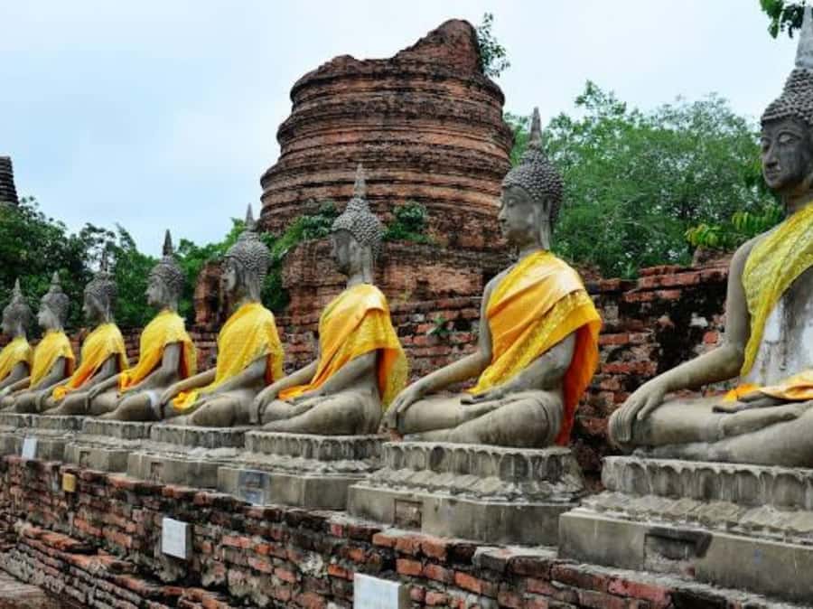 From Bangkok: Ayutthaya Tour, Elephant Palace & Royal Kraal - Why this private Ayutthaya day trip works